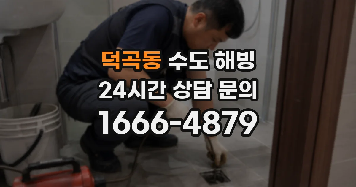 덕곡동 수도 해빙