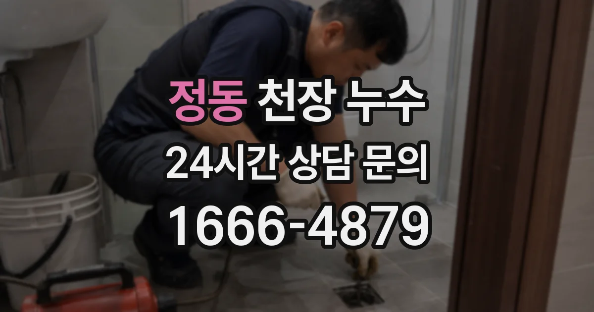 정동 천장 누수