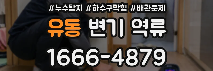 유동 변기 역류