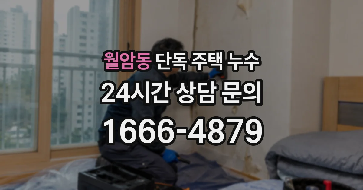 월암동 단독 주택 누수