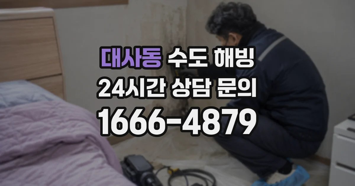 대사동 수도 해빙