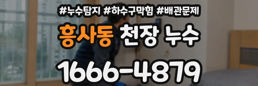 흥사동 천장 누수