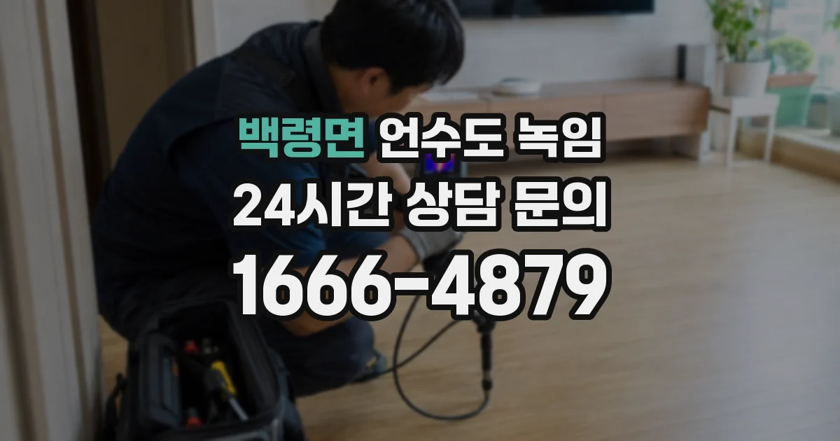 백령면 언수도 녹임