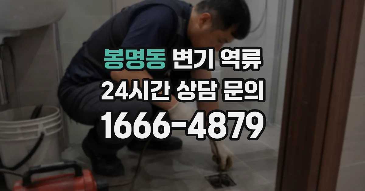 봉명동 변기 역류