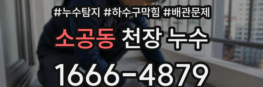소공동 천장 누수