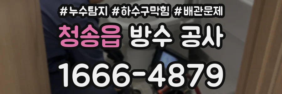 청송읍 방수 공사