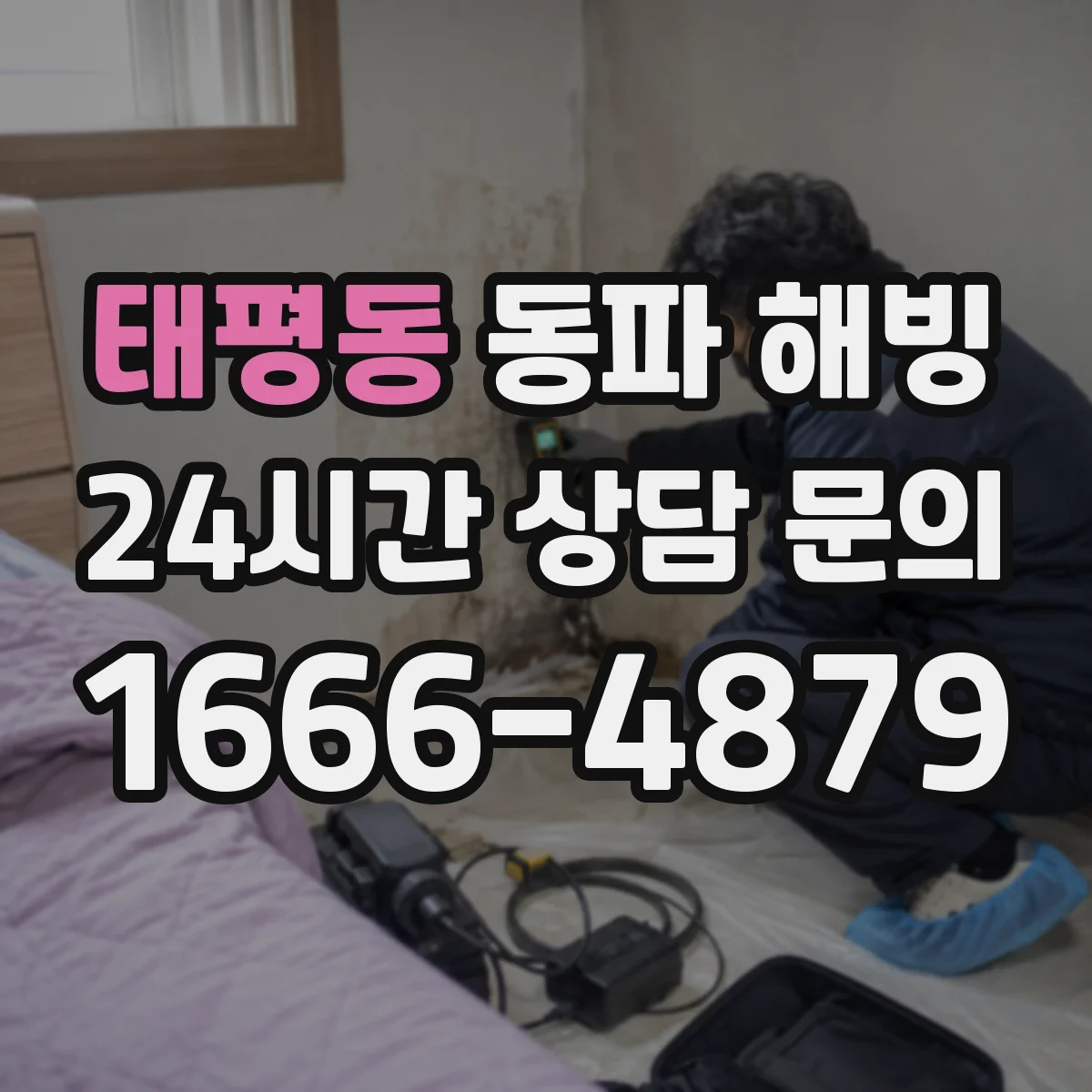 태평동 동파 해빙