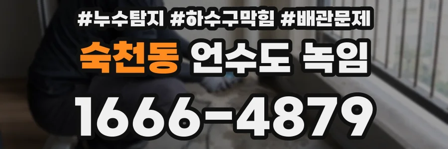 숙천동 언수도 녹임