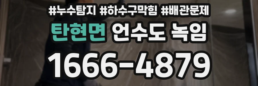 탄현면 언수도 녹임