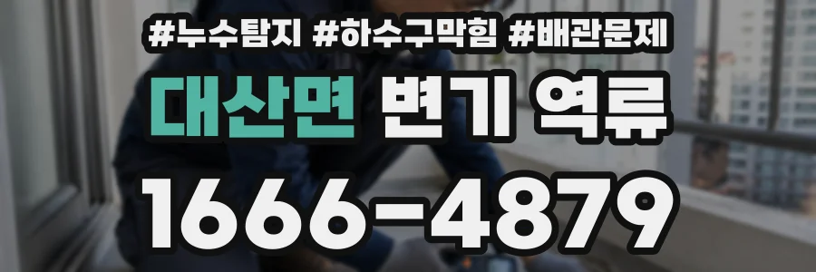 대산면 변기 역류