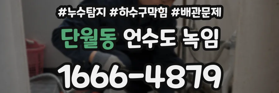 단월동 언수도 녹임