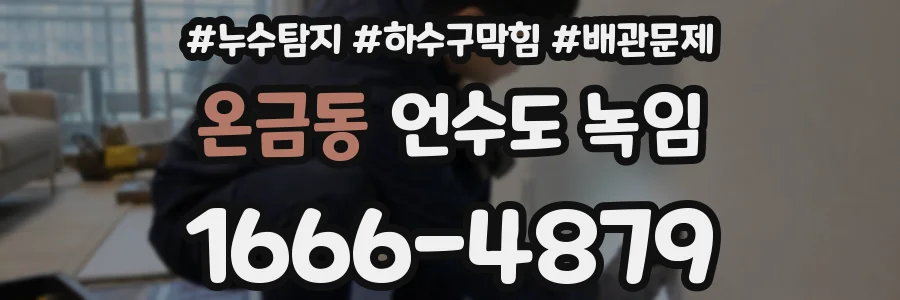 온금동 언수도 녹임