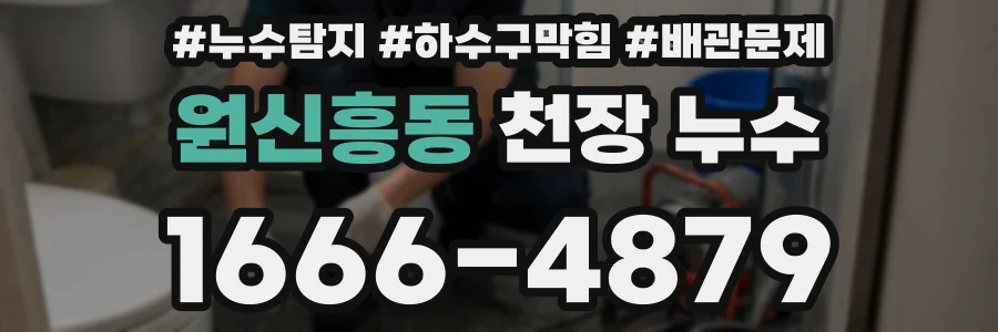 원신흥동 천장 누수