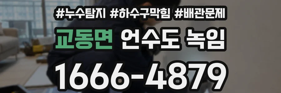 교동면 언수도 녹임