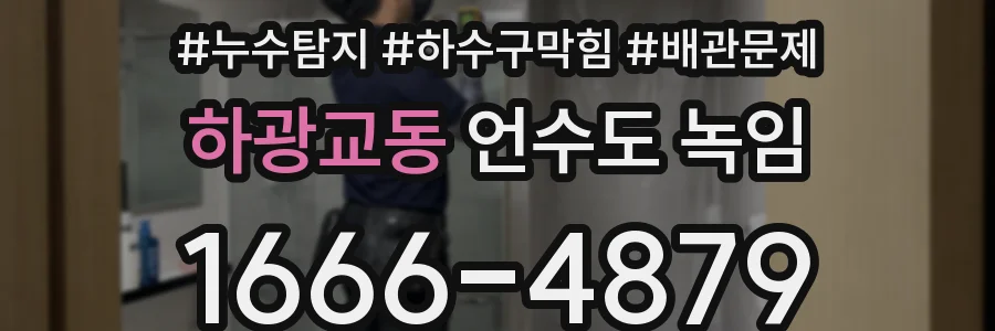 하광교동 언수도 녹임