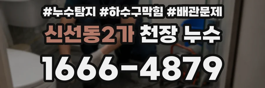 신선동2가 천장 누수
