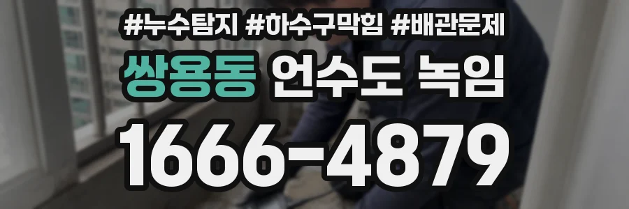쌍용동 언수도 녹임