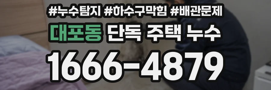 대포동 단독 주택 누수