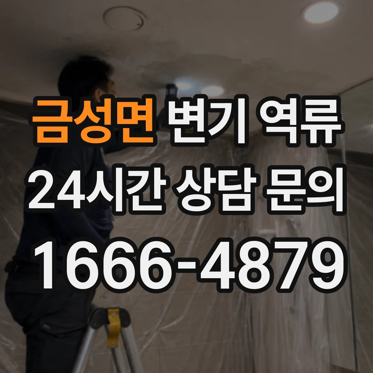 금성면 변기 역류