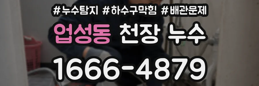 업성동 천장 누수