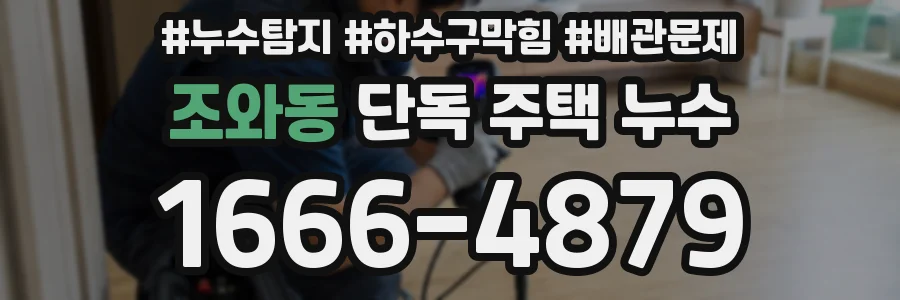 조와동 단독 주택 누수