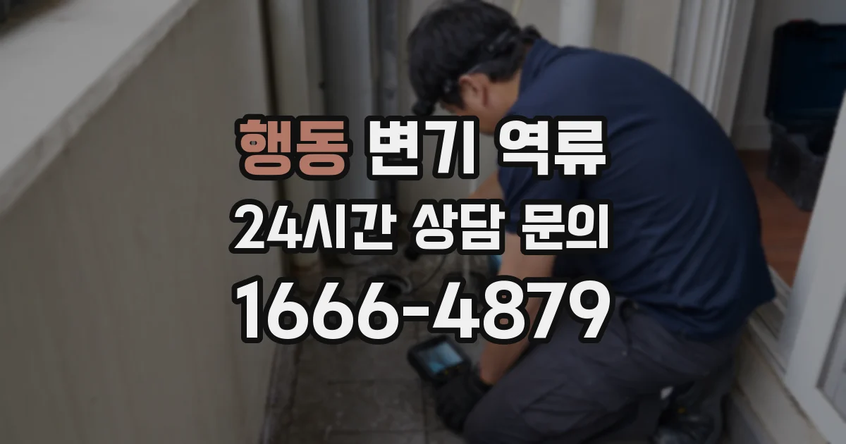 행동 변기 역류