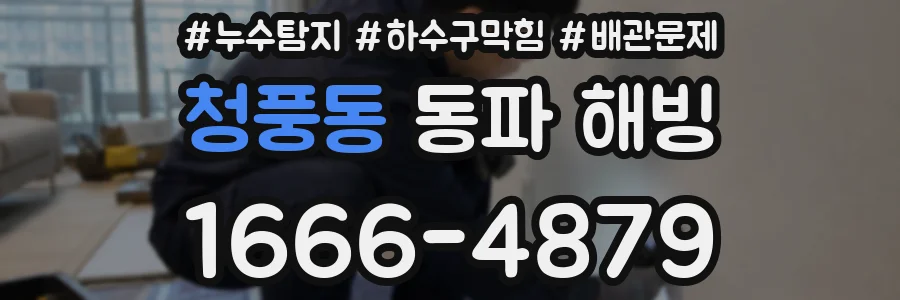 청풍동 동파 해빙