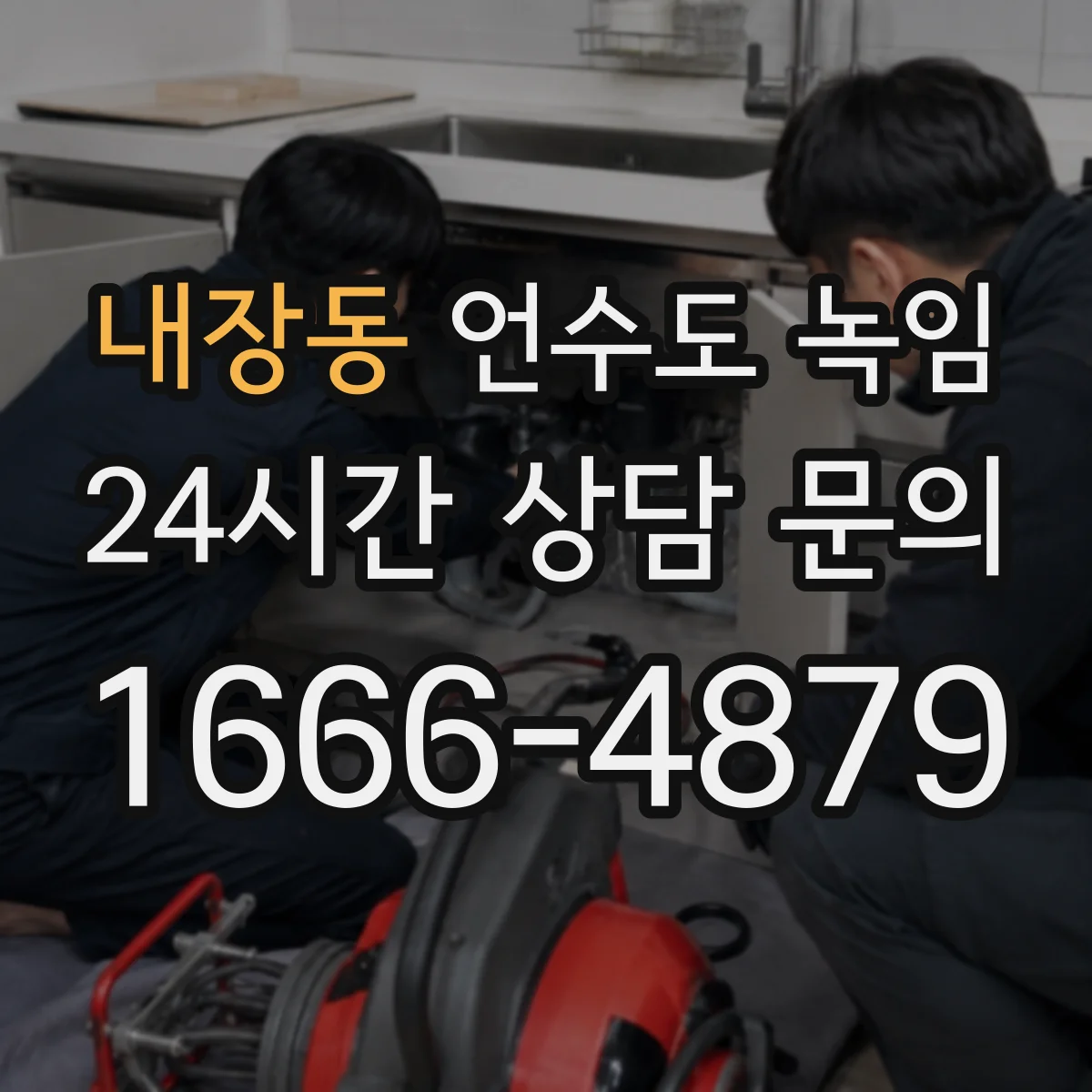 내장동 언수도 녹임