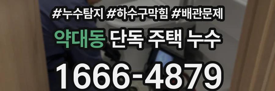 약대동 단독 주택 누수