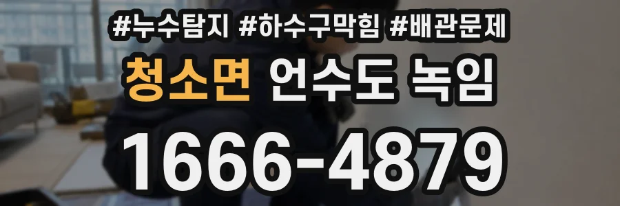 청소면 언수도 녹임