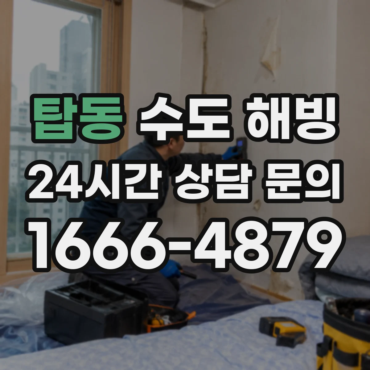 탑동 수도 해빙