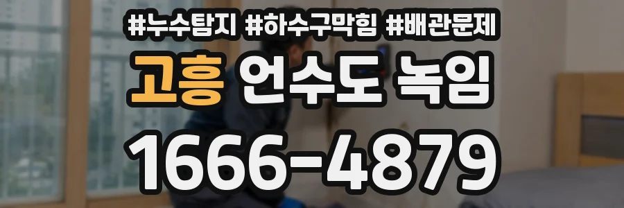 고흥 언수도 녹임