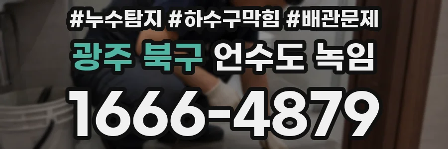 광주 북구 언수도 녹임