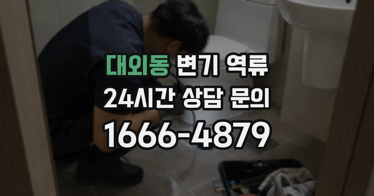 대외동 변기 역류