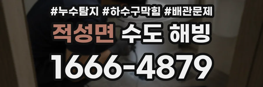 적성면 수도 해빙