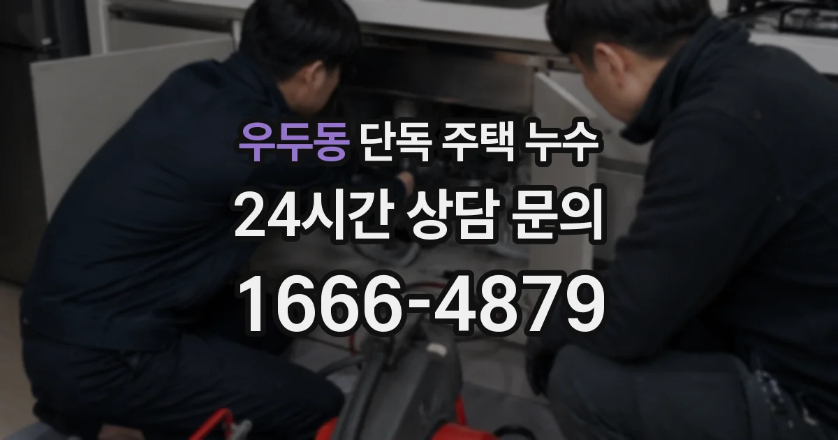 우두동 단독 주택 누수