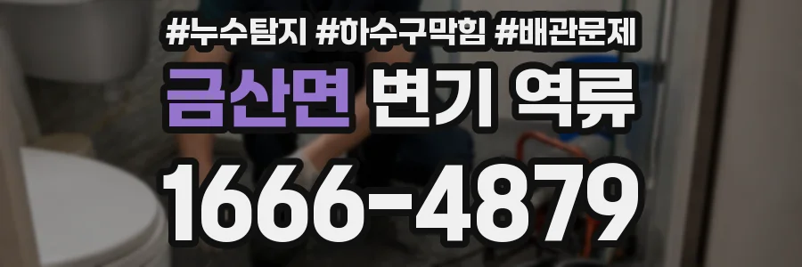 금산면 변기 역류