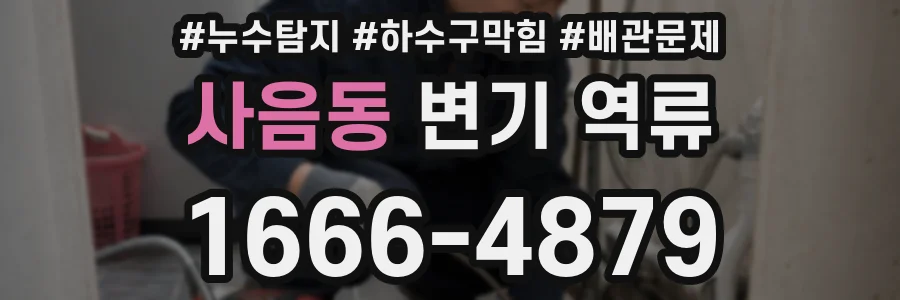 사음동 변기 역류