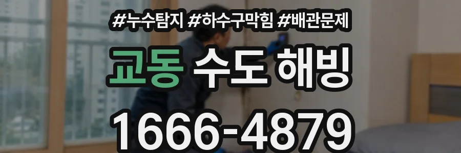 교동 수도 해빙
