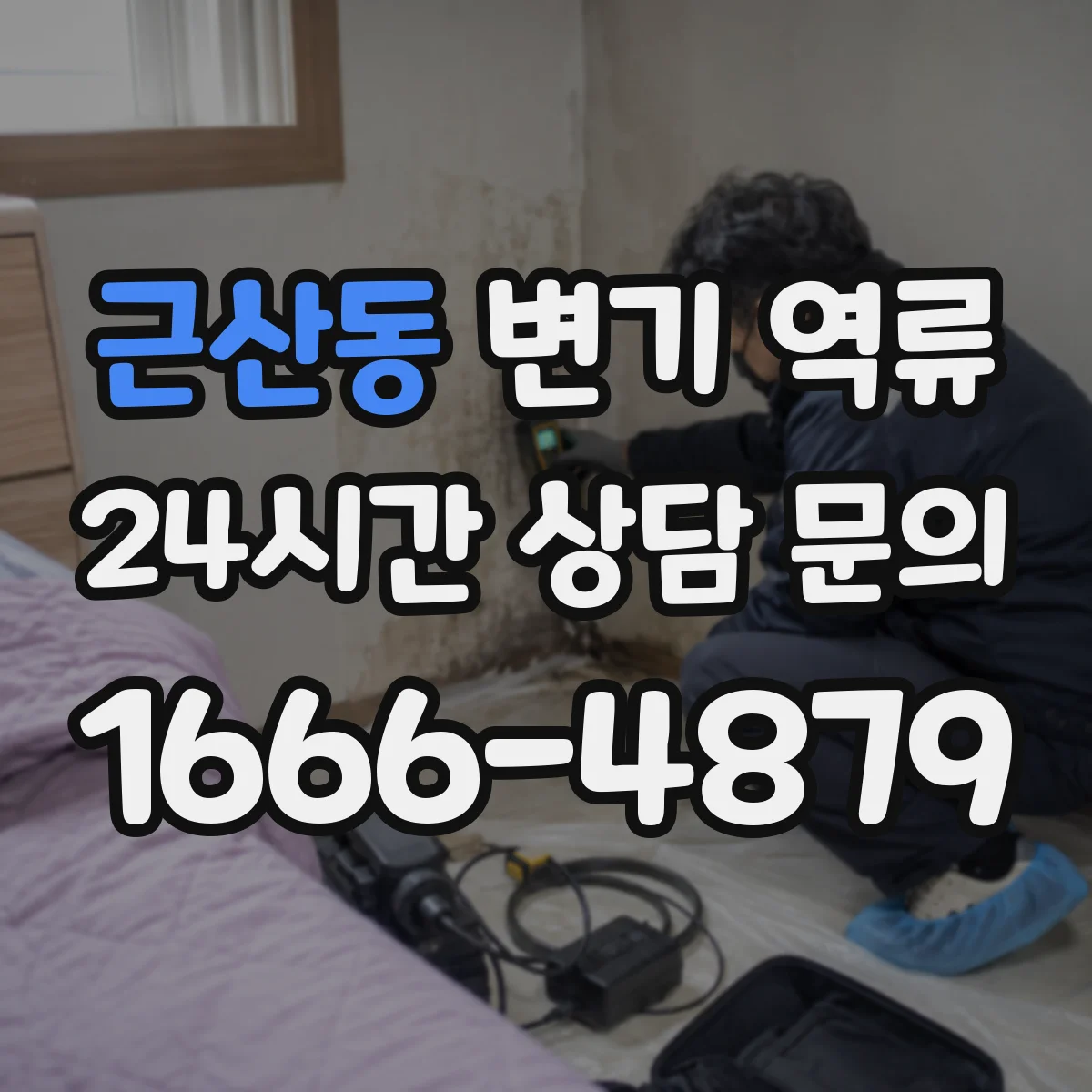 근산동 변기 역류