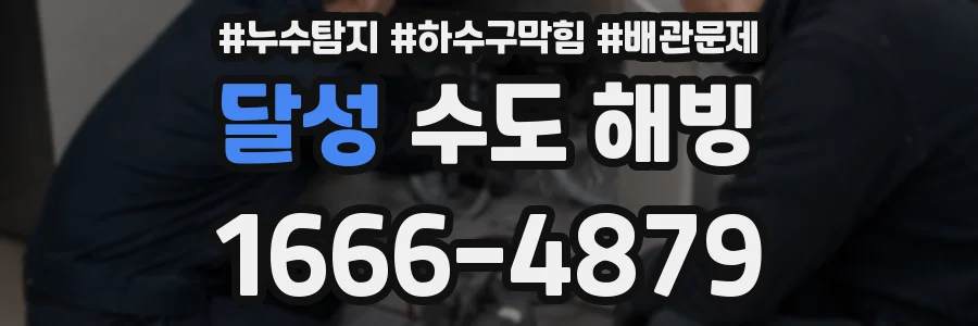 달성 수도 해빙