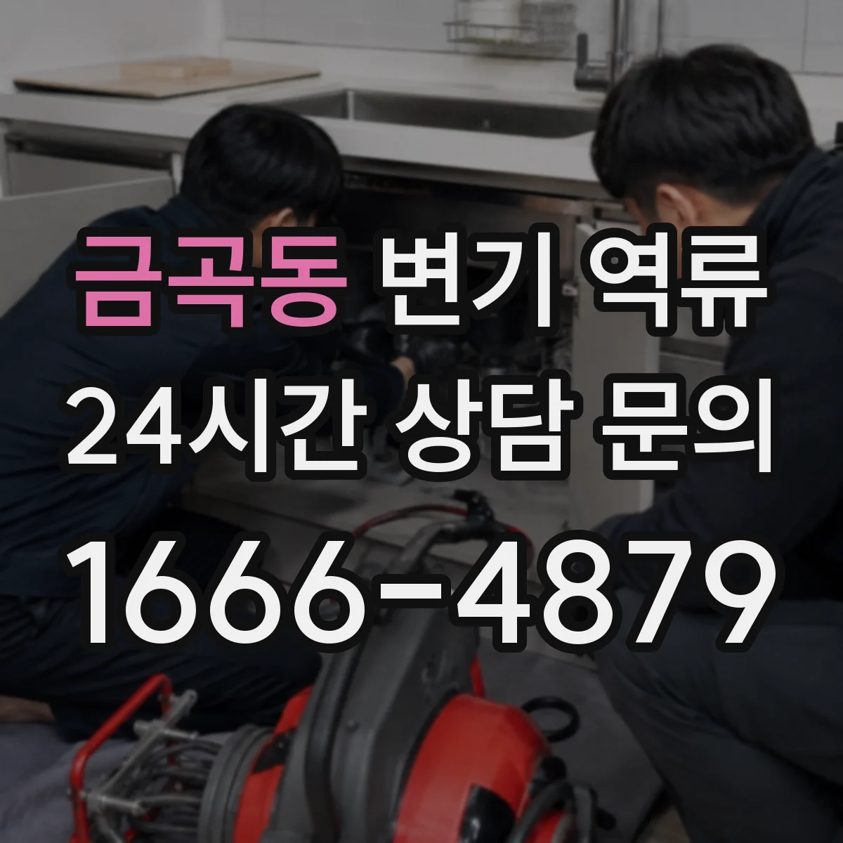 금곡동 변기 역류