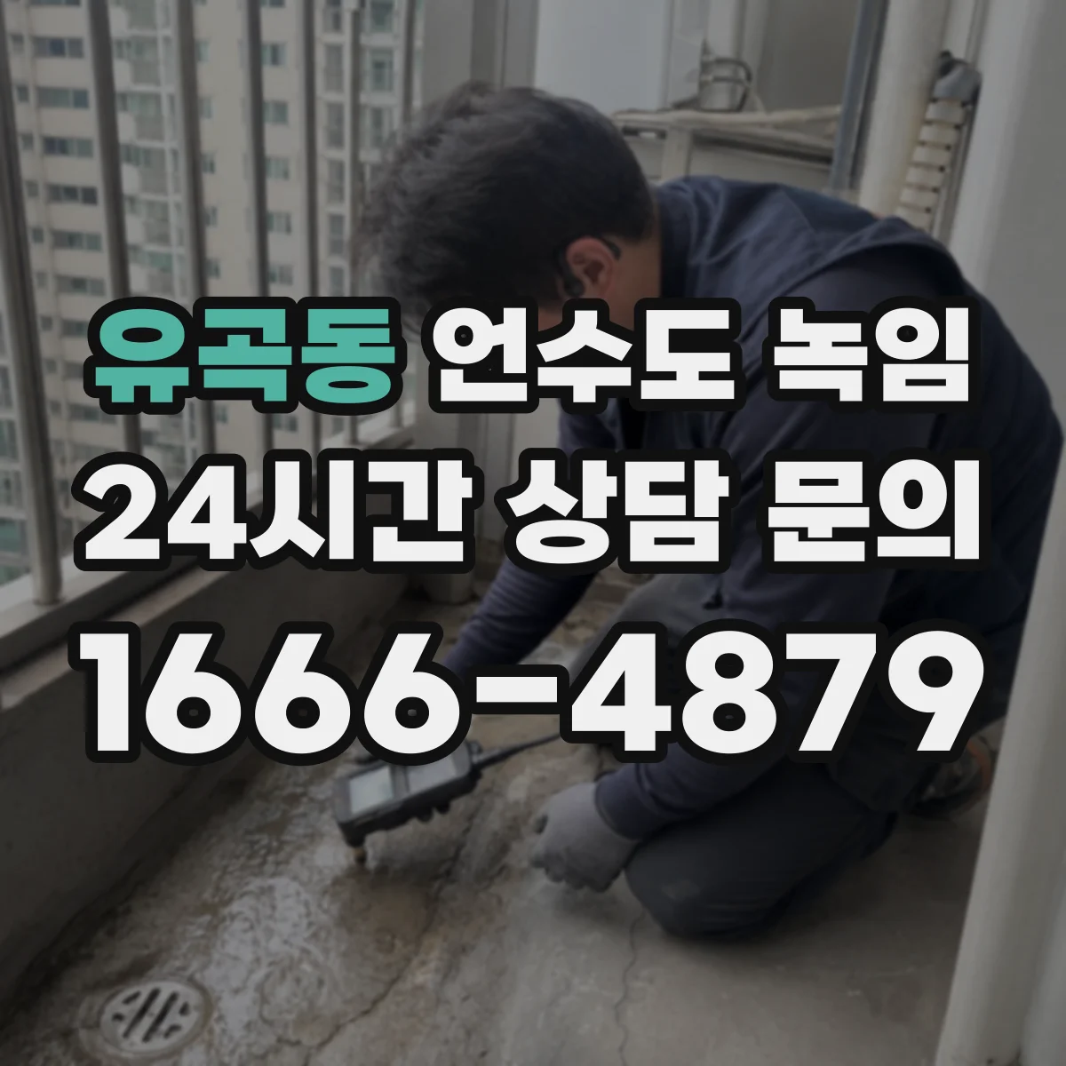 유곡동 언수도 녹임