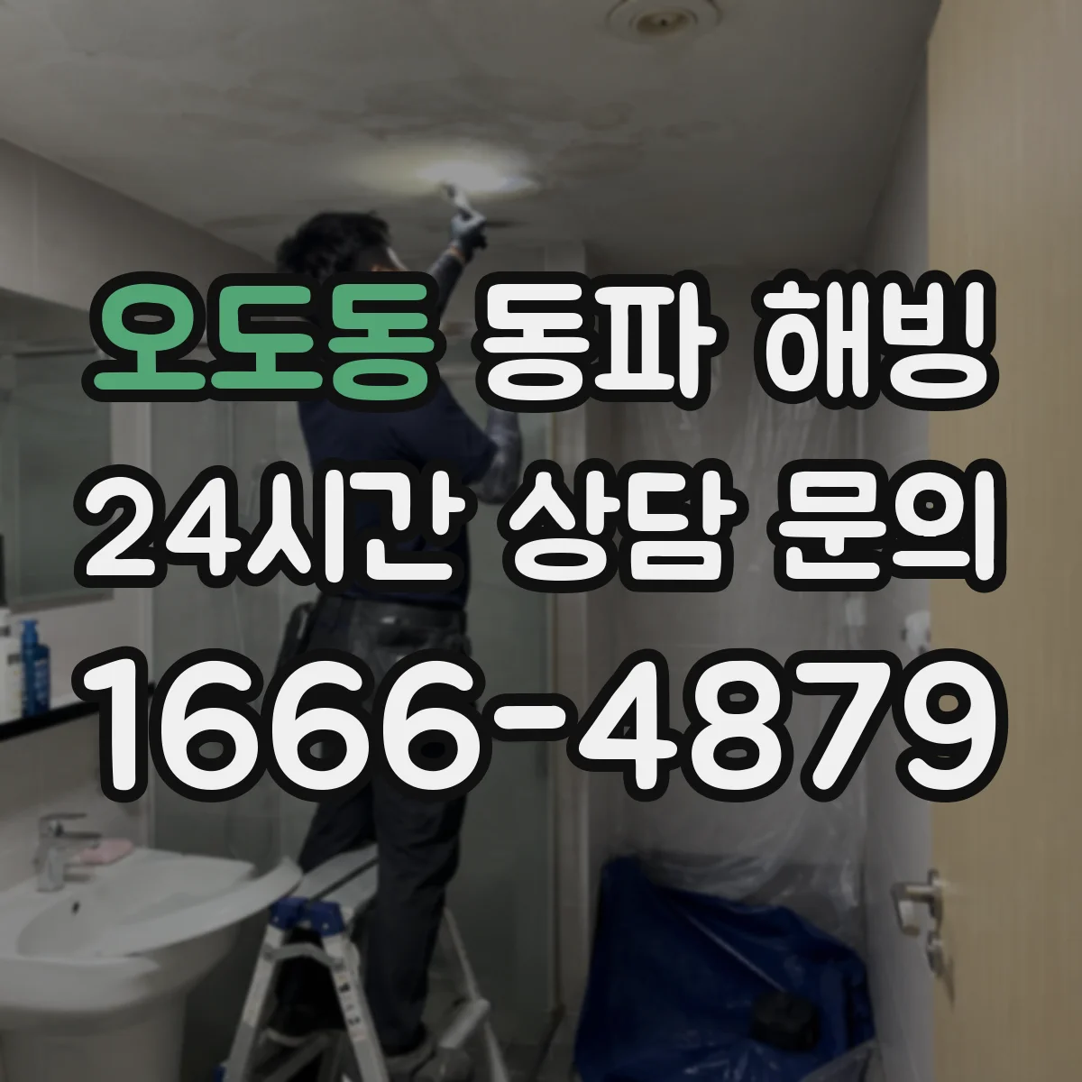 오도동 동파 해빙