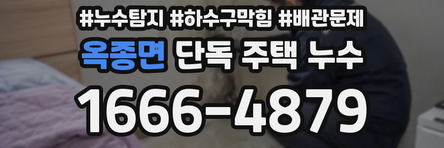 옥종면 단독 주택 누수