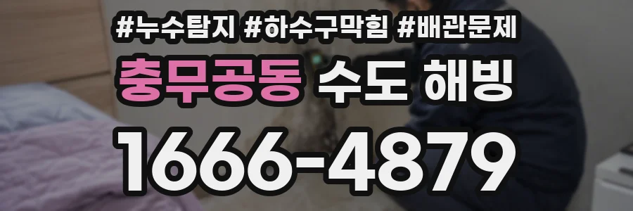 충무공동 수도 해빙