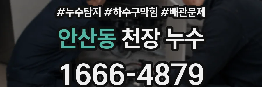 안산동 천장 누수