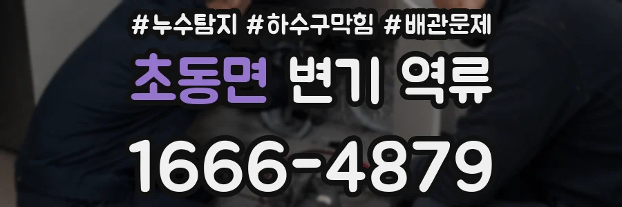 초동면 변기 역류