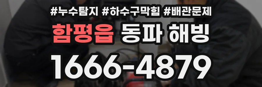 함평읍 동파 해빙