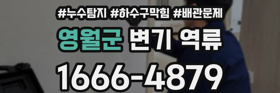 영월군 변기 역류